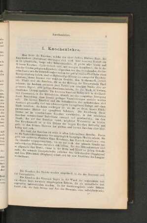 I. Knochenlehre.