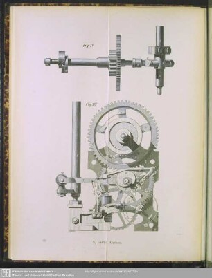 Fig. XIV - Fig. XV