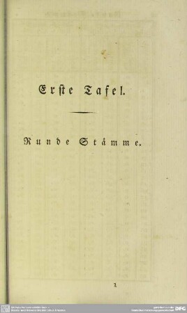 Erste Tafel - Runde Stämme