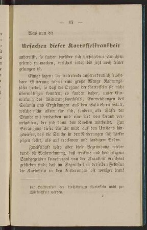 Ursachen dieser Kartoffelkrankheit