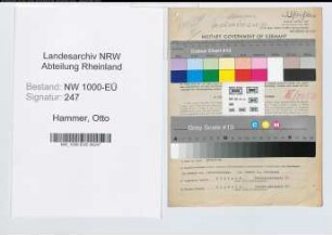 Entnazifizierung Otto Hammer, geb. 09.09.1897 (Angest.)