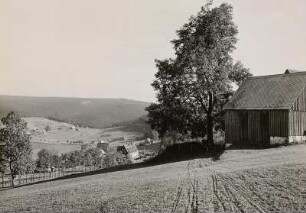 Altenberg-Rehefeld-Zaunhaus. Ortsteilansicht mit Lindenbaum