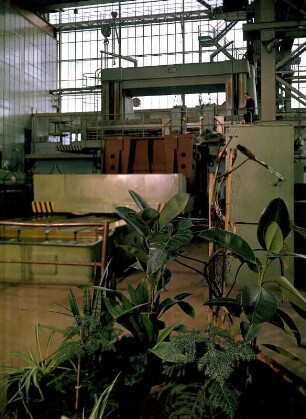 Pflanzen und Maschinen in der Produktionshalle des VEB Umformtechnik Erfurt : Alternativer Firmenname VEB Pressen- und Scherenbau Henry Pels
