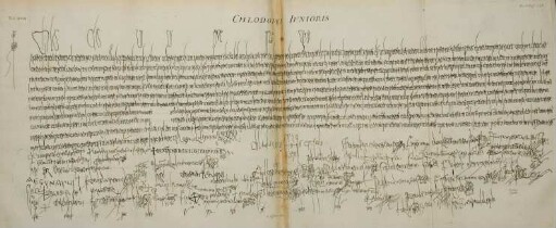 Tab. XVII. Chlodovei Junioris.