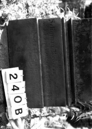 Grabstein 240 (Index: 100095831) Maße HxBxT: 210x65x31 cm Symbolik: Levitenkanne: Grabstein 240B
