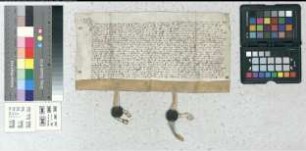 Vermächtnis des Domherrn Stephan / Stenen von der Malsburg / Malsberg (Maelspergh) zu Paderborn.