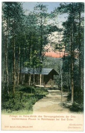 Mühlhausen bei Bad Elster, Im Heimwald des Genesungsheimes