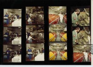 COOP, 1981