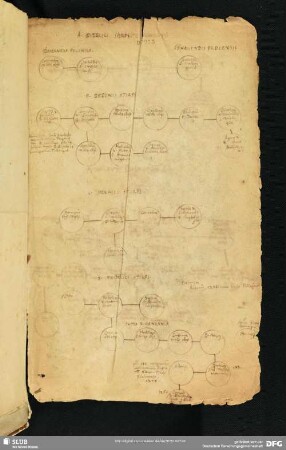 [Faszikel 3: Ahnherren des Hauses Wettin, beginnend mit Dietrich II., Markgraf der Ostmark/Lausitz (1142-1185), mit schematischer Darstellung der Nachkommen]