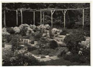 Garten Michels: Pflanzung mit Pergola