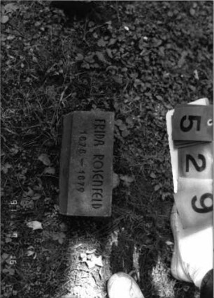 Grabstein 529 [Hahn S. 245 Grab-Nr. 399]