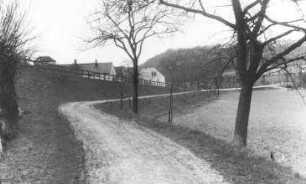 Triebischtal-Tanneberg. Dammmühle, Wirtschaftsweg in Richtung Wehr, Repro