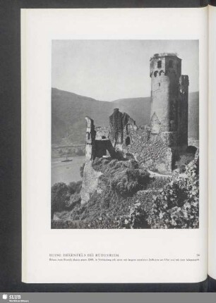 Ruine Ehrenfels Bei Rüdesheim