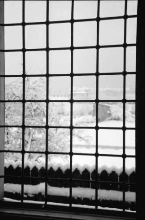 Bukarest: Ausblick aus unserem Fenster (Willy Pragher) durchs Gitter