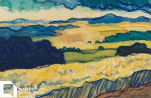 Felder im Sommer (I)