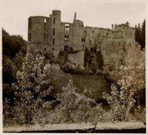 Vianden, Burgruine, Gesamtansicht
