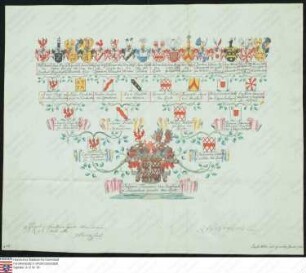 Ahnenprobe des Philipp Franz v. Breidbach zu Bürresheim genannt v. Riedt. - Publikationsvermerk: Oberrheinischer Ritterorden 1764 März 8/1764 April 30, Pergament, Zeichner Joseph Melber, vereidigter Maler