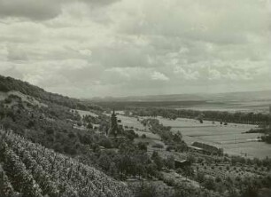 Dresden-Pillnitz. Blick vom Borsberghang über die Weinbergkirche ins Tal