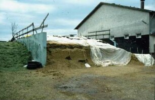 Fotografie: Flachsilo, Fahrsilo, Maissilage, Siloabdeckung