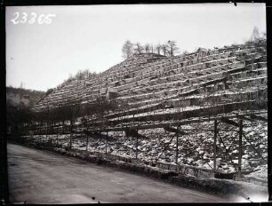 Weinberge 1920