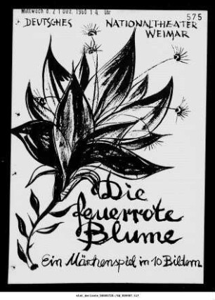 Die feuerrote Blume