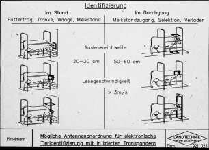 Mögliche Antennenanordnung für elektronische Tieridentifizierung mit injizierten Transponder