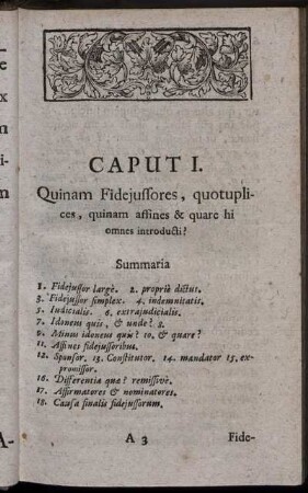Caput I. Quinam Fidejussores, quotuplices, quinam affines & quare hi omnes introducti?
