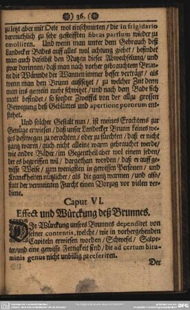 Capitel VI. Effect und Würckung deß Brunnes