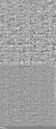Lilie / Tj = S.9/10+15/16