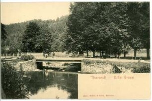 Tharandt. Edle Krone
