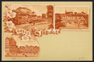 239, Gruss aus Tübingen. Schloss mit Alleenbrücke. Marktplatz.