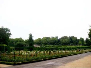 Würzburg: Hofgarten
