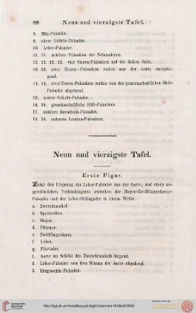 Neun und vierzigste Tafel / Tabula Quadragesima Nona
