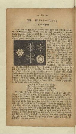 XII. Winterszeit