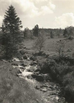 Schellerhau. Im Tal der Roten Weißeritz