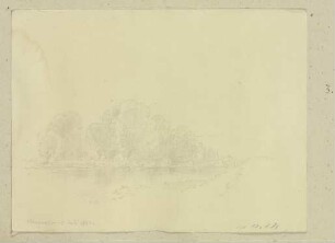 Uferlandschaft