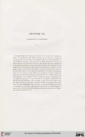 Chapitre VII: Inscriptions cunéiformes