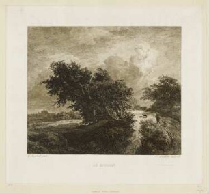 Le buisson