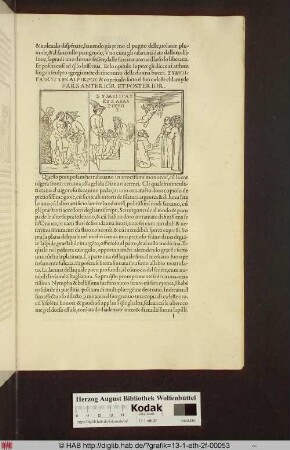 [Jupiter und Danae] PARS ANTERIOR ET POSTERIOR.