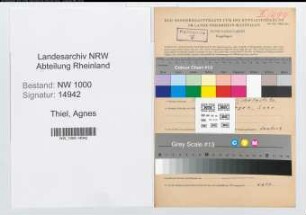 Entnazifizierung Agnes Thiel, geb. 21.12.1908 ()