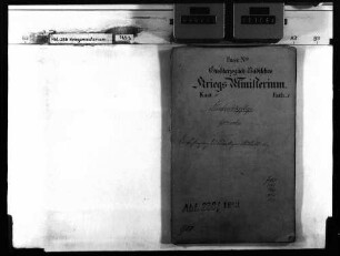 Die Bestrafung des böswilligen Austritts aus der Armee