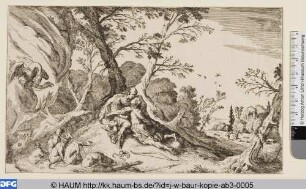 Jupiter und Callisto?