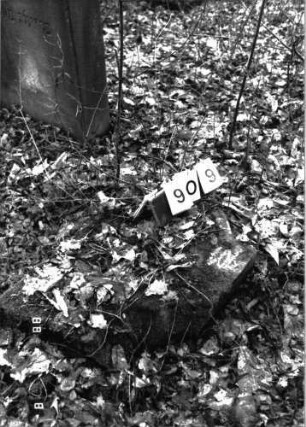 Grabstein 909