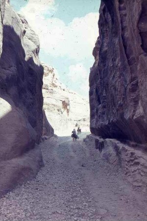 Petra Sik