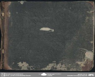 I Fuorusciti - Mus.4259-F-515 : PaWV 27
