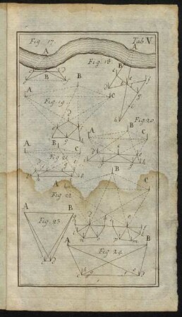 Tab. V. Fig. 17. - Fig. 24.
