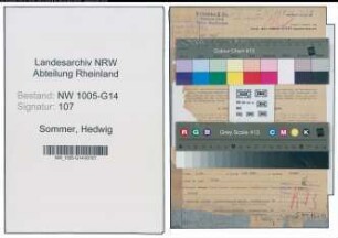 Entnazifizierung Hedwig Sommer , geb. 11.12.1891 (Firmeninhaberin)