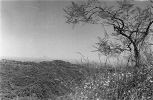 Landschaftsaufnahme : Landschaft bei Addi Arkay.