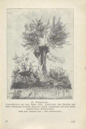 Weidenbaum