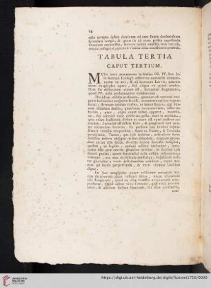 Tabula Tertia Caput Tertium